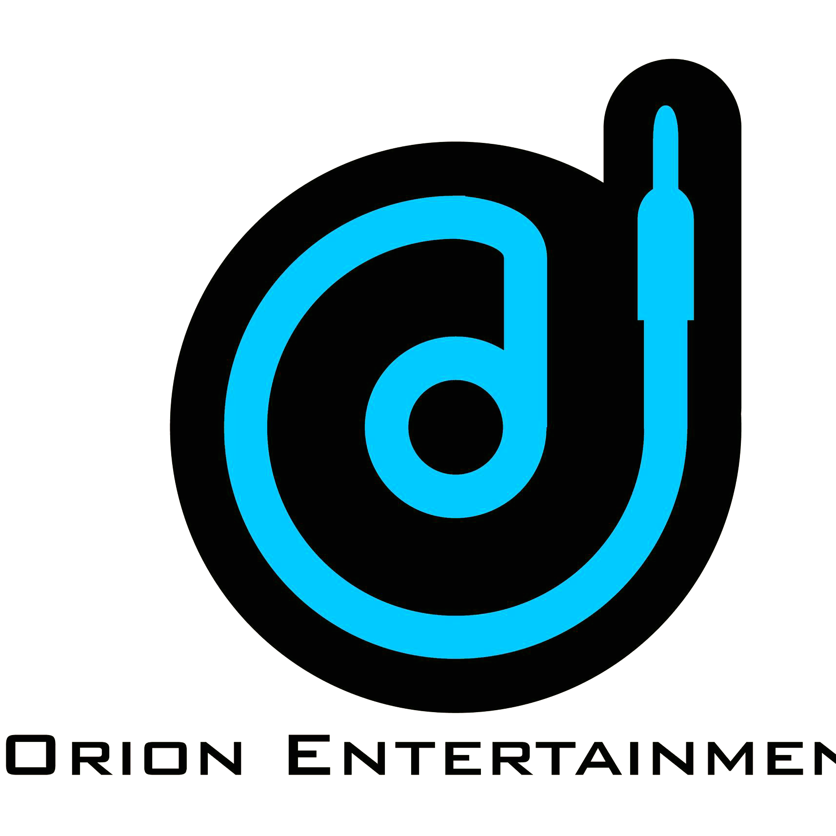 Orion Entertainment: Seattle Wedding DJ